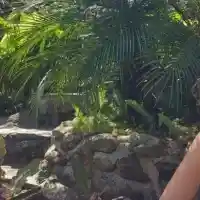 Ева Кикерезова ще се мести в Би Ти Ви