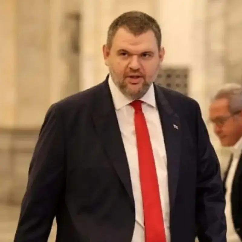 „Моделът Пеевски“ и Новото начало в политиката