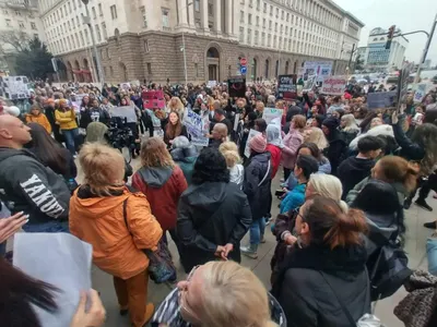 Нова вълна протести срещу насилието над животни