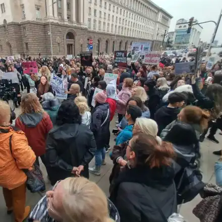 Нова вълна протести срещу насилието над животни