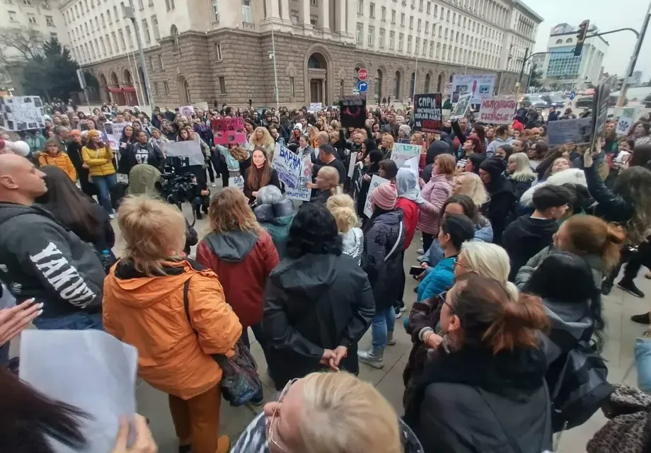 Нова вълна протести срещу насилието над животни