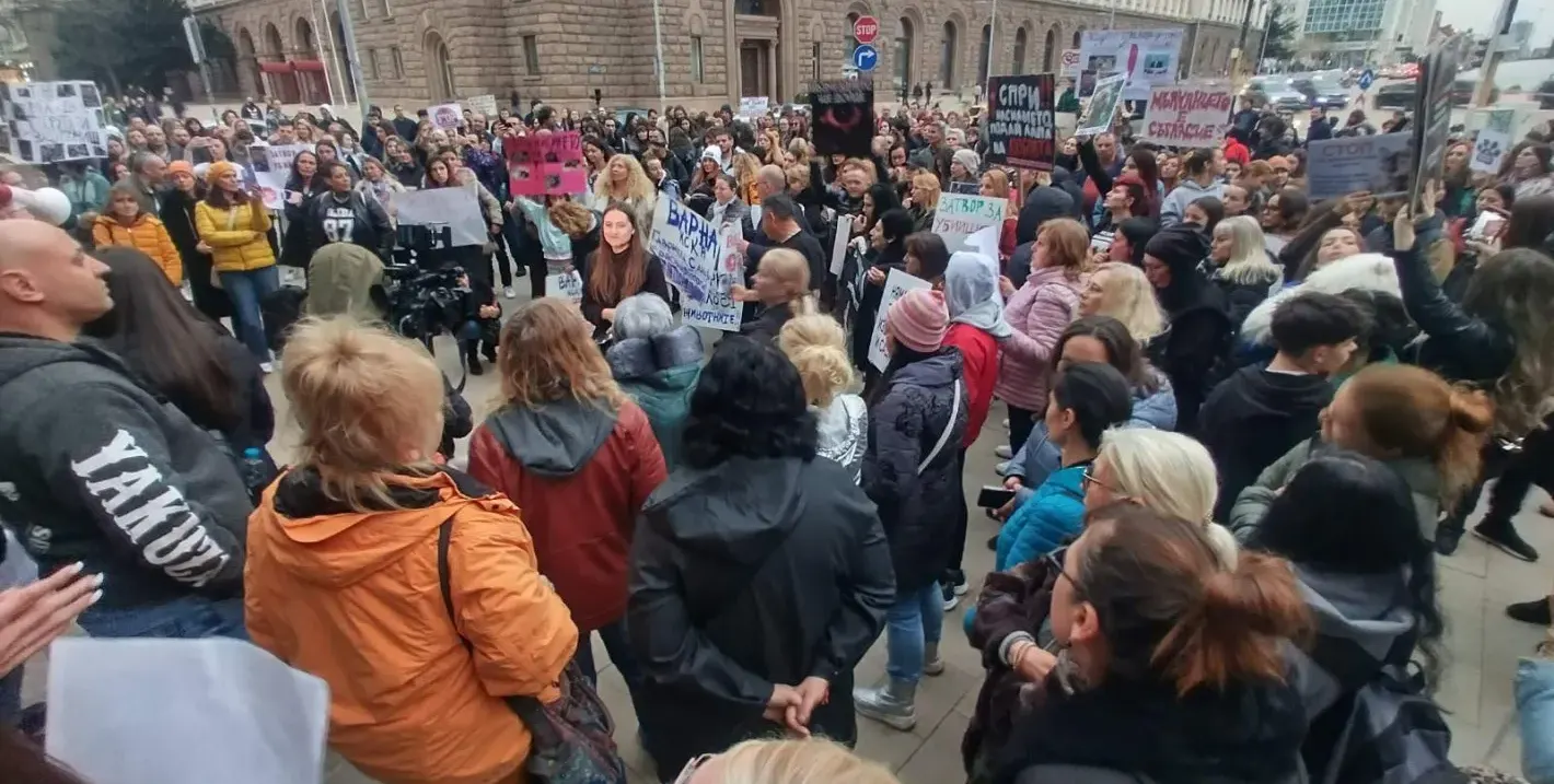 Нова вълна протести срещу насилието над животни