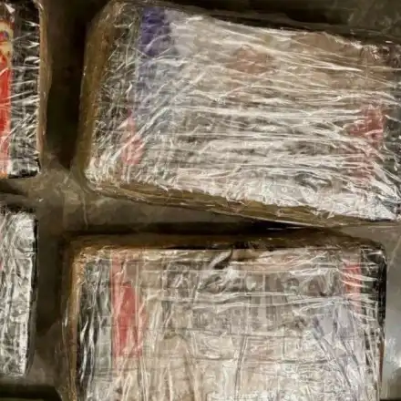 Пакетите кокаин с лика на Путин – част от откраднатите 160 кила дрога 