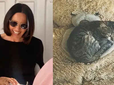 Вадят костилка от котката на Мария Силвестър