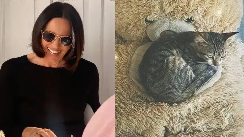 Вадят костилка от котката на Мария Силвестър