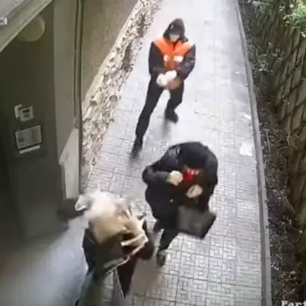 Вижте как изверг залива с бензин нотариус Людмила Тенева (ВИДЕО)