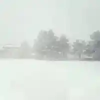 Владо Карамазов показва осъдени на доживотен затвор в изложба (СНИМКИ)