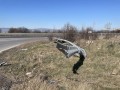 Опасни ли са мантинелите по българските пътища?!