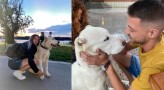 Застреляха с бойно оръжие домашно куче в русенското Ново село