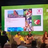 Близо 12 000 тона хартия е предал Kaufland за рециклиране през 2024 г.