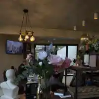 Little Sofia посреща гости на входа на Южния парк