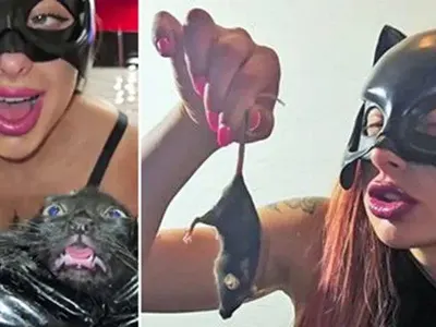 Мъчителите на животни от Перник в международна афера