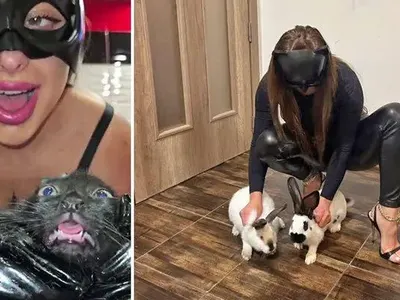 Мъчителите на животни от Перник в международна афера