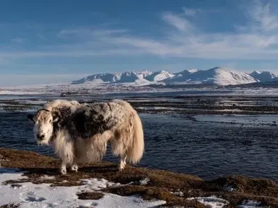 Отвъд картата и границите с TravelLove