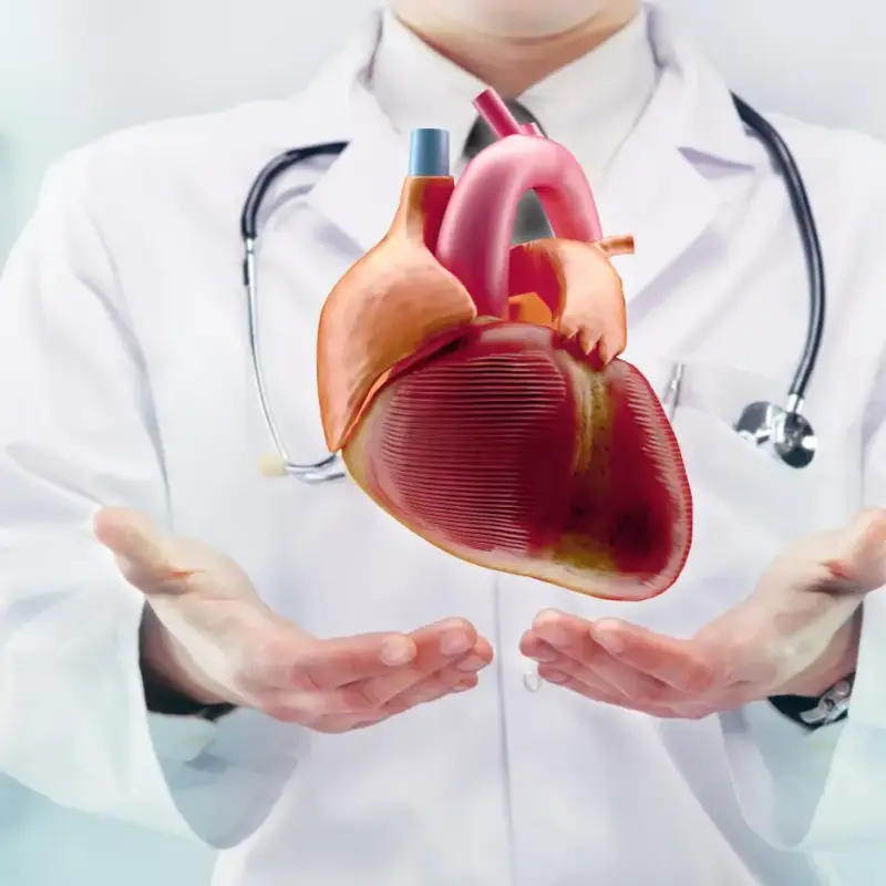 Шок! Авокадото е ключът към здраво сърце!