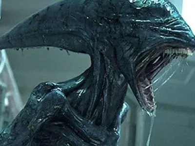 ПОКЪРТИТЕЛНО!! Водещата на „Ергенът – Любов в Рая“ Райна Караянева показа тяло на... (гледката е ужасяваща – СНИМКИ)