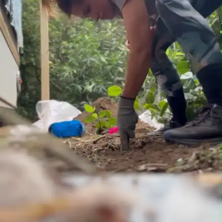 Теди Велинова си копае градината в Гърция