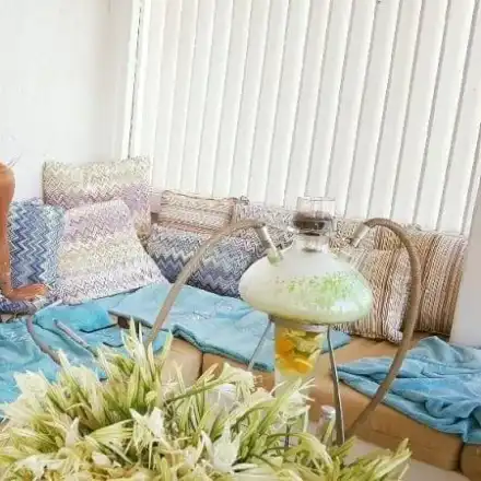 Зейнеб яхна камила в Египет