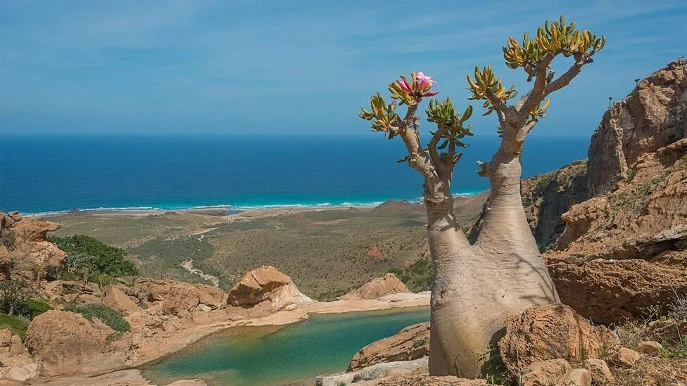 Пътуване към мистичното и необятното с TravelLove