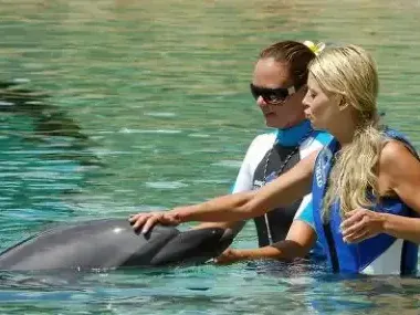 AI вече учи езика на делфините, скоро ще разговаряме истински с умните морски бозайници