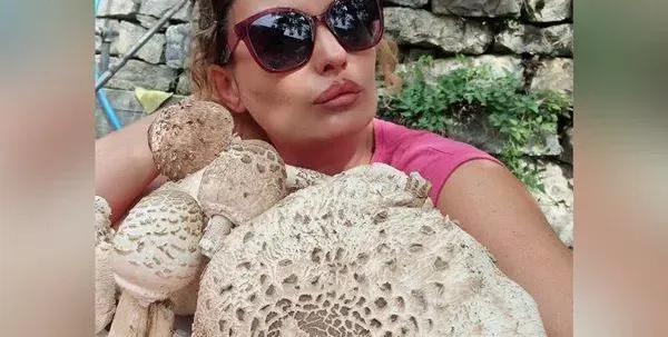 Александра гъбяса под бюста