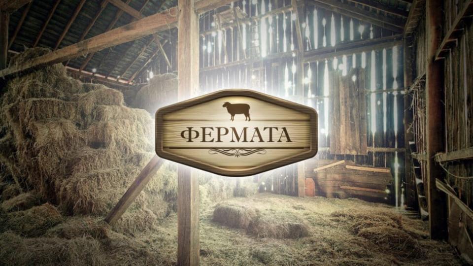 Скандал в Би Ти Ви! „Фермата” спира заради шокиращи събития!