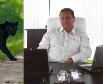 Ето го тайния собственик на избягалата пантера в Шумен