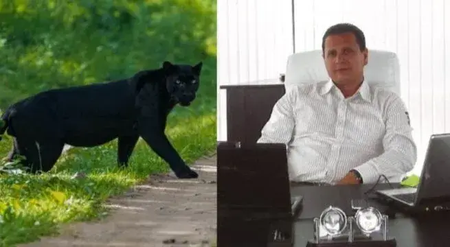 Ето го тайния собственик на избягалата пантера в Шумен