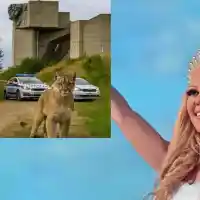 Фолк певицата Луна за пумата в Шумен: Пратена ни е с МИСИЯ