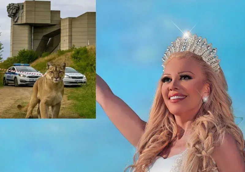 Фолк певицата Луна за пумата в Шумен: Пратена ни е с МИСИЯ