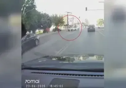 Кола помете пешеходец на ул. „Бели Дунав“ в София