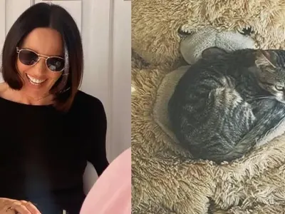 Котето на Мария Силвестър е звяр