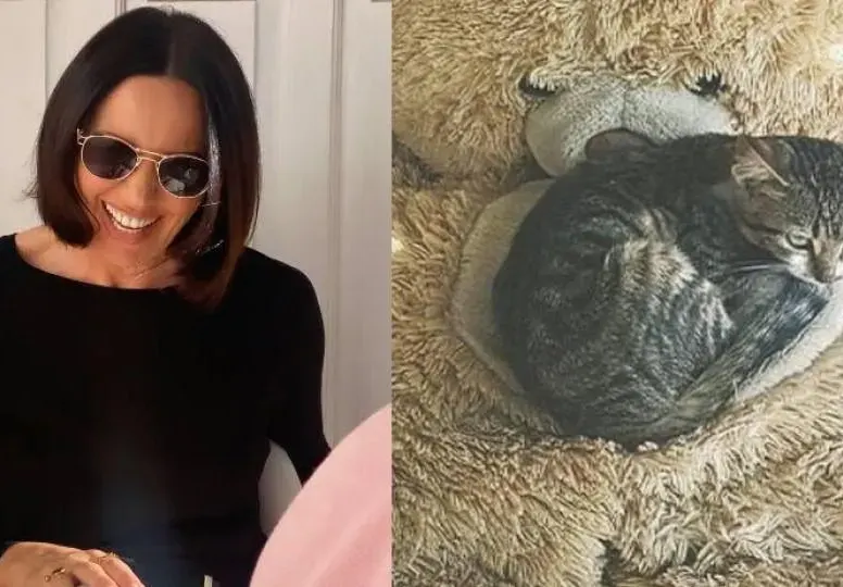 Котето на Мария Силвестър е звяр