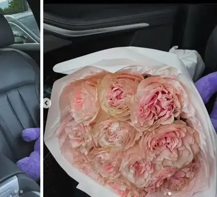 Натали Трифонова си събира багажа в Би Ти Ви