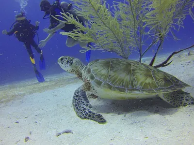 Пътуване към мистичното и необятното с TravelLove