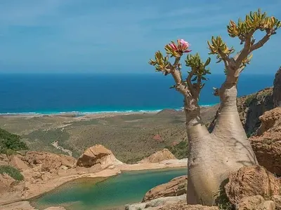 Пътуване към мистичното и необятното с TravelLove