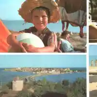 Разходка с камила на плажа – кефът през соца