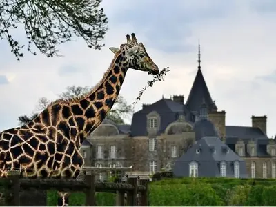  Travellove  ви кани на околосветско пътешествие