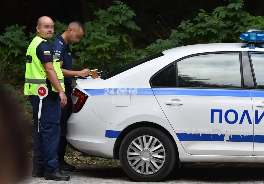 Търсят ягуар или пума, свикан е Оперативен щаб, дрон с термокамера лети над Шуменското плато