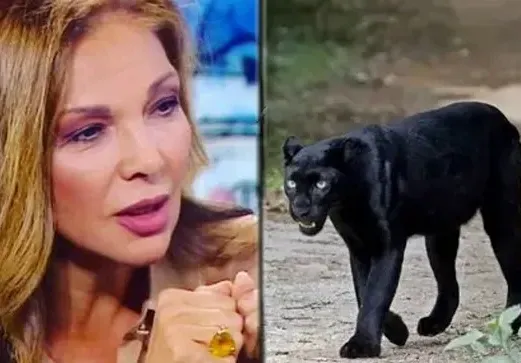 Юлияна Дончева: Крият на кого е шуменският леопард