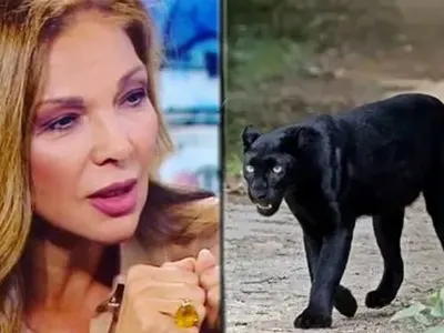 Юлияна Дончева: Крият на кого е шуменският леопард