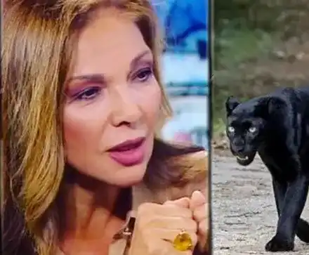 Юлияна Дончева: Крият на кого е шуменският леопард