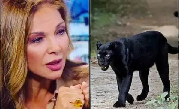 Юлияна Дончева: Крият на кого е шуменският леопард