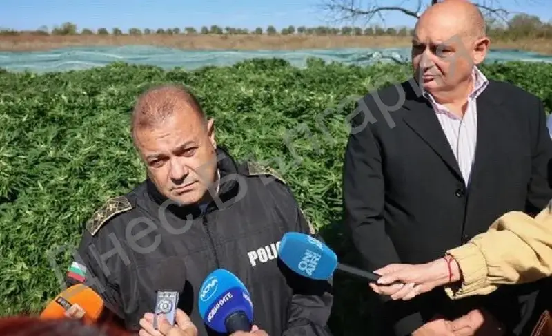 Зарът е хвърлен! Войната срещу дрогата е обявена: Старши комисар Владимир Маринов – новият кошмар на подземния свят в Бургас