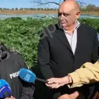 Зарът е хвърлен! Войната срещу дрогата е обявена: Старши комисар Владимир Маринов – новият кошмар на подземния свят в Бургас