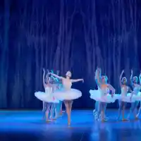 Балетна магия: „Катарина, или дъщерята на разбойника“ на 15 юли и „Лебедово езеро“ на 23 юли – част от фестивала Опера в Летния театър 2025