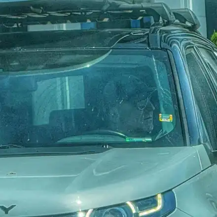 Деян Донков вози новото гадже в кола за 100 бона (Папарашки снимки)