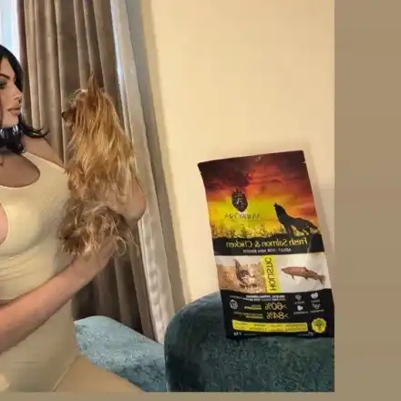 Гаф или трик? Изскочиха силиконите на Мис България, докато рекламира кучешка храна