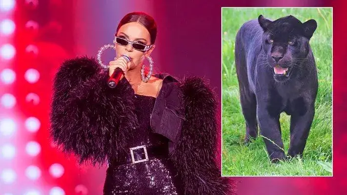 Галена се прави на пантера, ама пищи от избягалия леопард