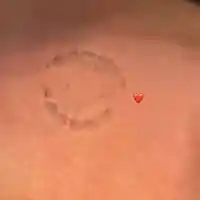 Гущеров си хвана БЯСНА мадама! Гушкат се във вила на Халкидики за 2 бона на нощ (СНИМКИ)